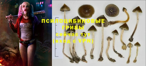 прущий лед Кинешма