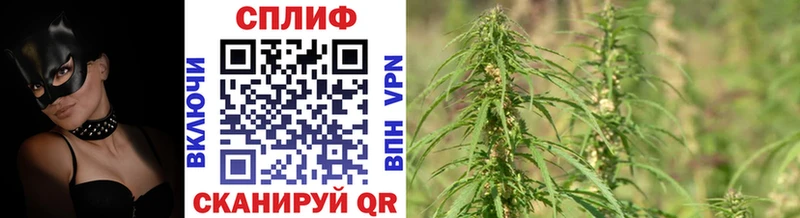 Купить где  Сасово  Шишки марихуана сатива 